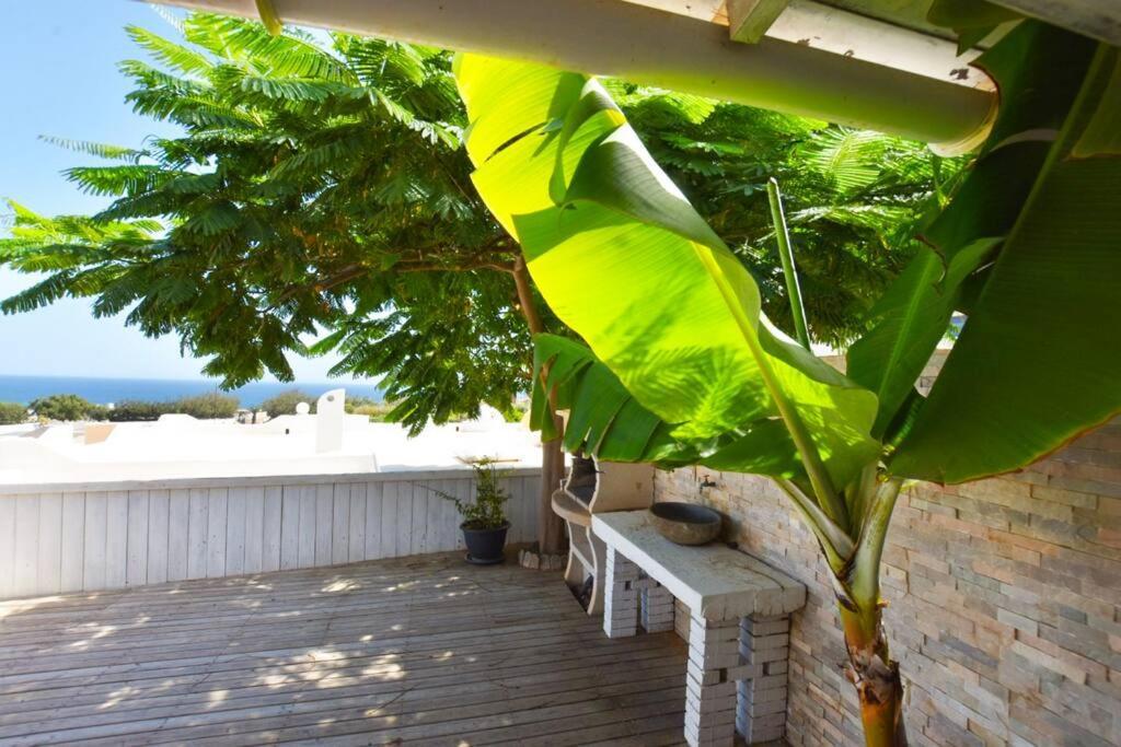 Book Jet - Costa Calma Blue Ocean Dream Terrace Apartman Kültér fotó